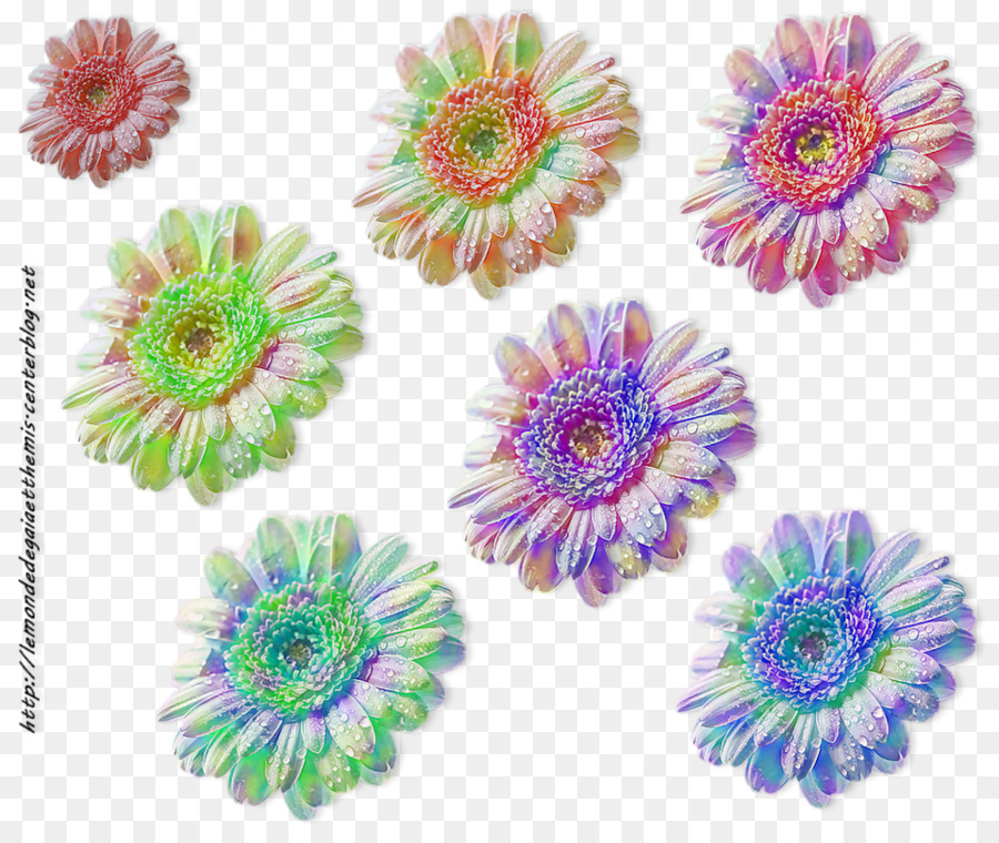 Fleurs，Coloré PNG