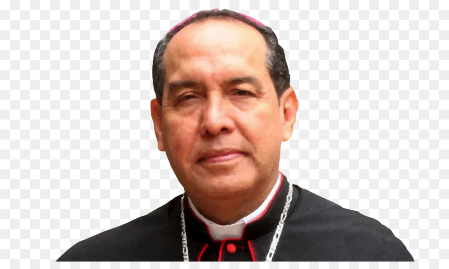 Pablo Emiro Salas Anteliz，Archidiocèse Catholique De Barranquilla PNG