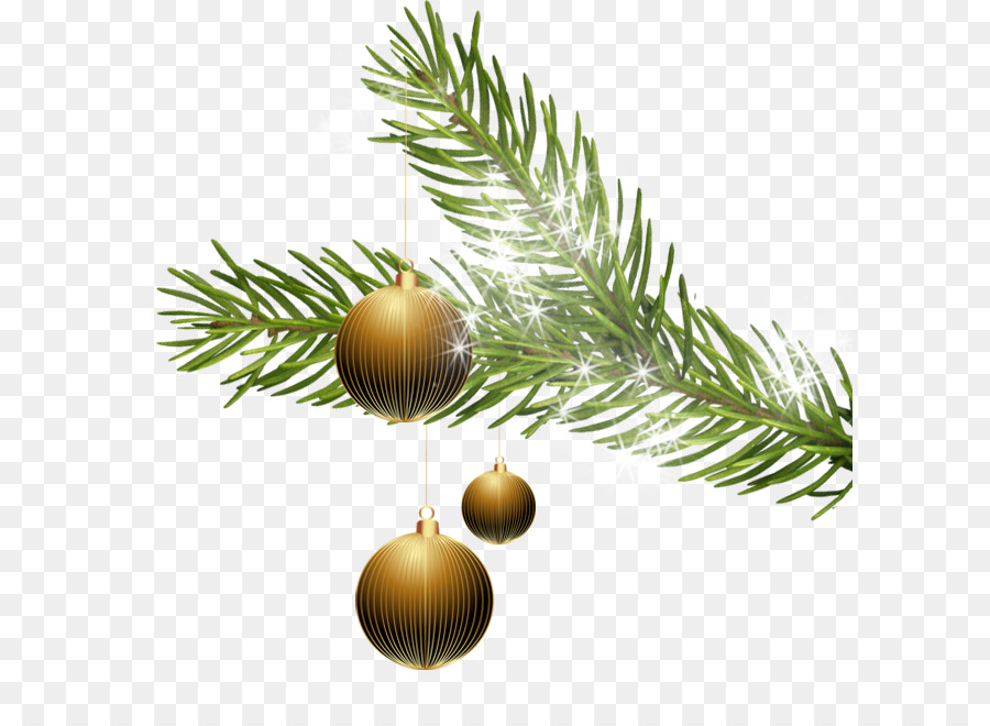 Branche De Noël，Pin PNG