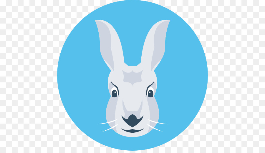 Un Lapin Domestique，Aardvark PNG