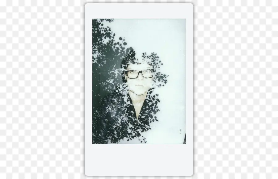 Photo Polaroïd，Polaroïd PNG