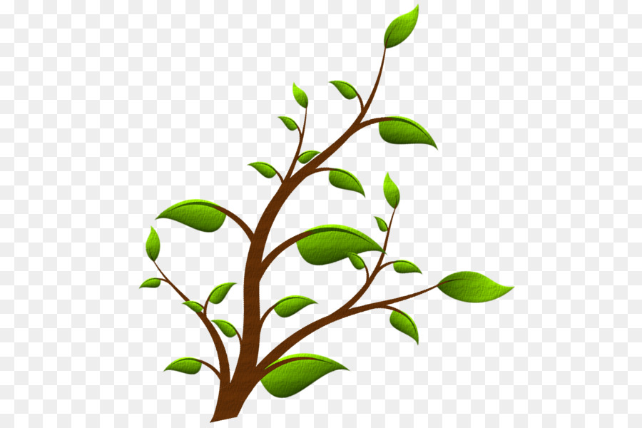 Arbre，Feuilles PNG