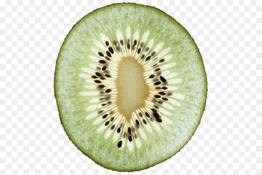 Tranche De Kiwi，Vert PNG