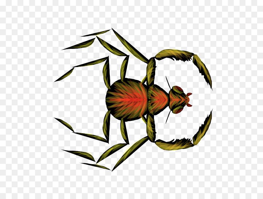 Araignée，Jambes PNG