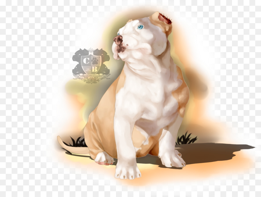 Bouledogue，Chiot PNG