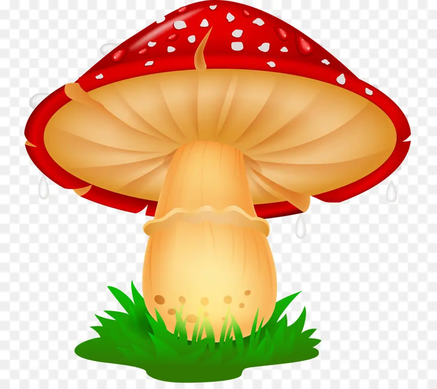 Champignon，Rouge PNG