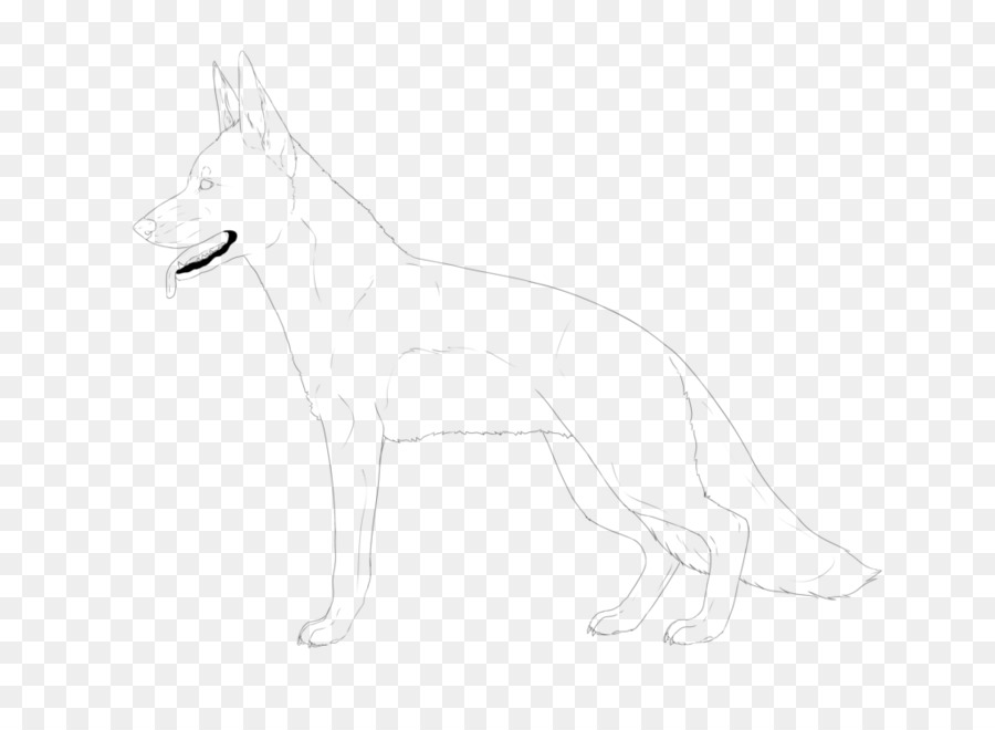 Croquis De Chien，Animal PNG