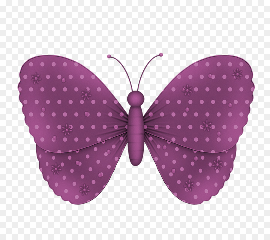 Papillon Violet，Ailes PNG