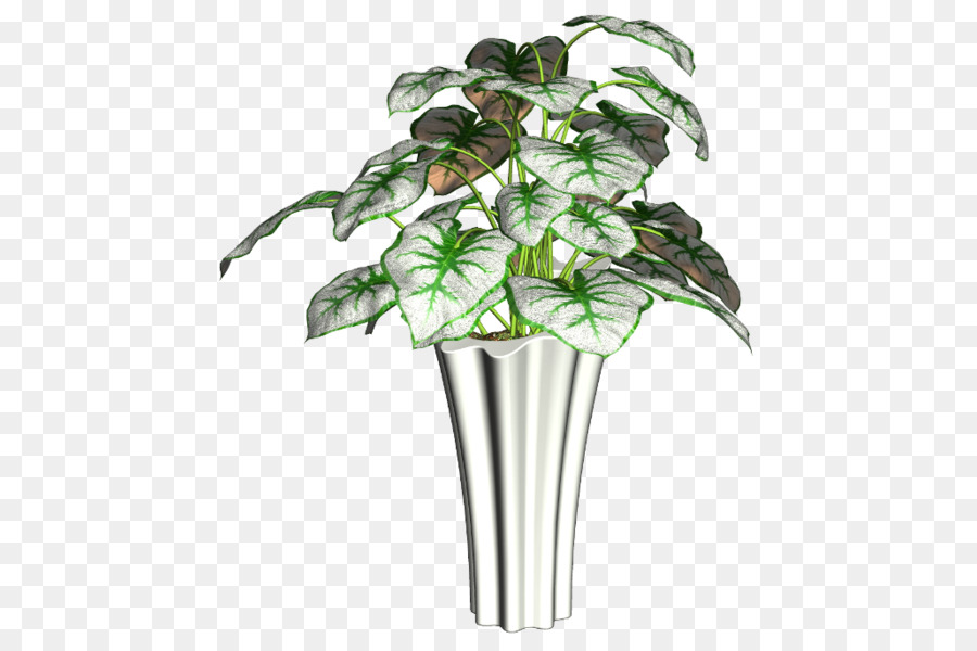 Flowerpot，Plante PNG