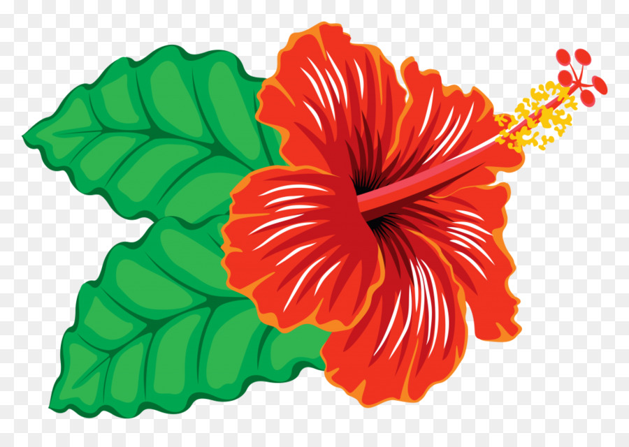 Hibiscus Rouge，Feuilles Vertes PNG