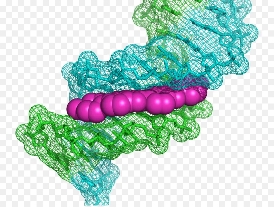 Structure Moléculaire，Molécule PNG