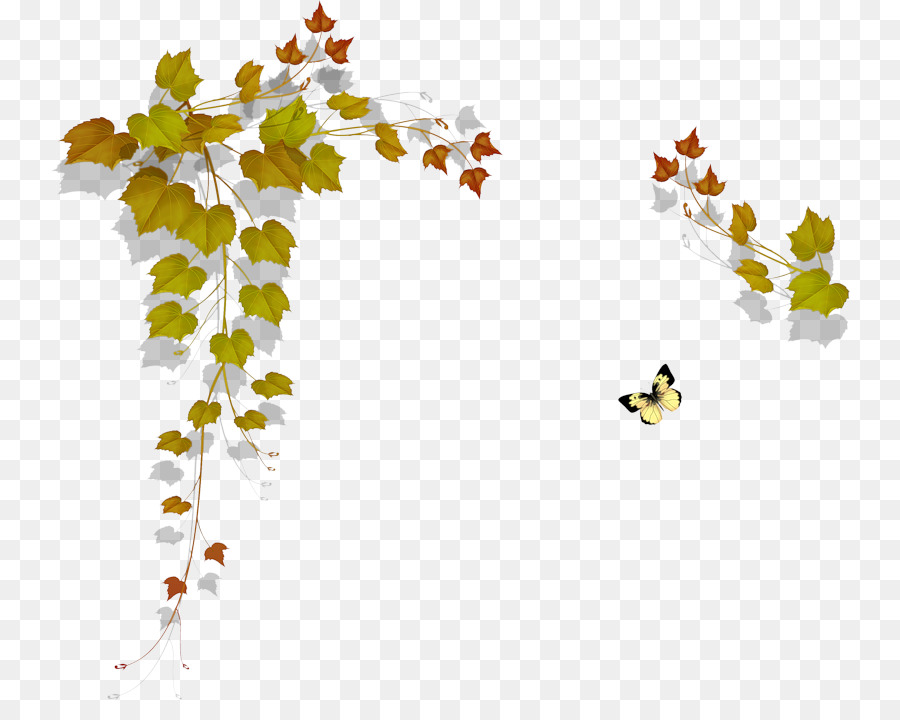 Feuille，Peinture PNG