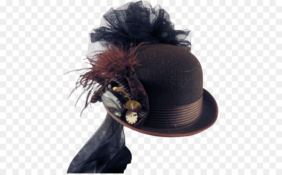 Chapeau Marron，Plumes PNG