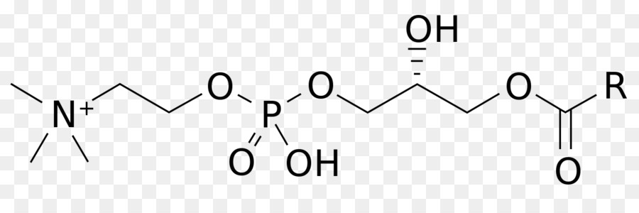 Midodrine，L Hypotension PNG