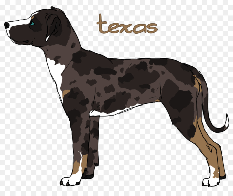 Race De Chien，Great Dane PNG