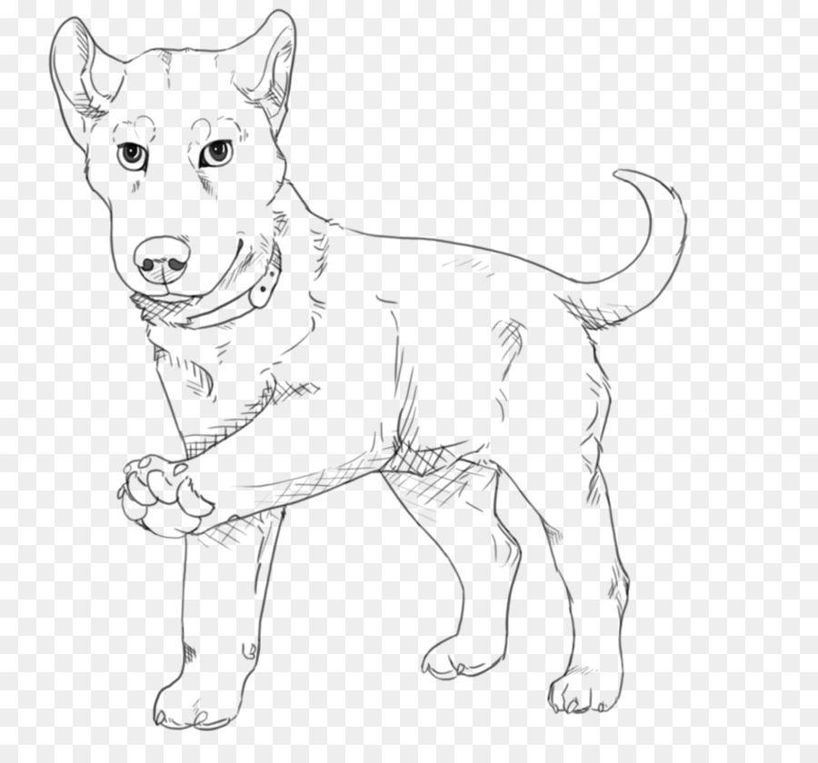 Chien，Animal De Compagnie PNG