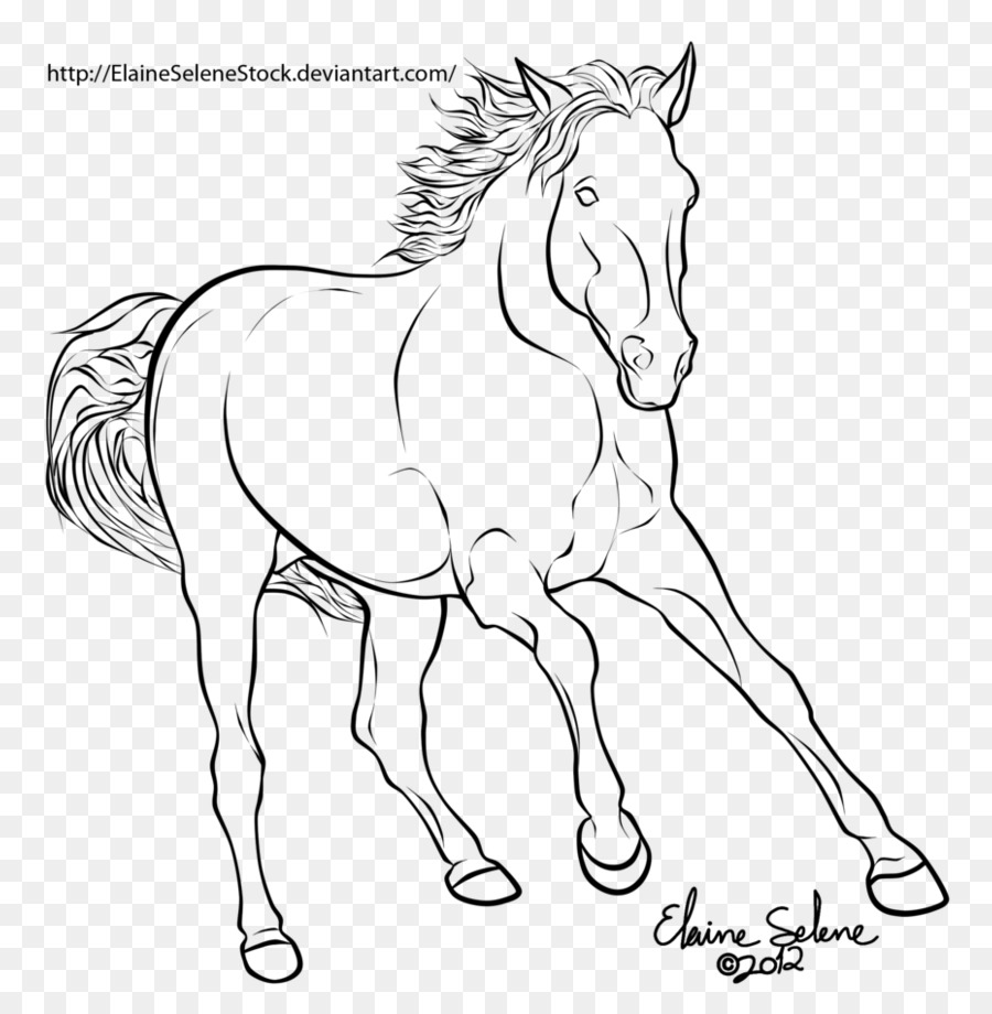 Cheval，Dessin Au Trait PNG