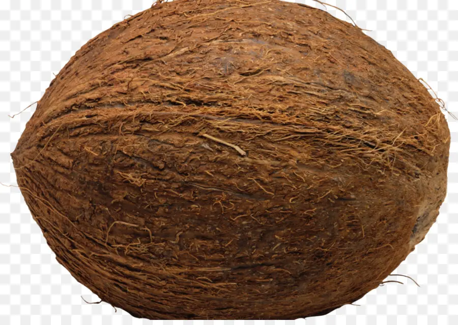 Noix De Coco，Noix PNG