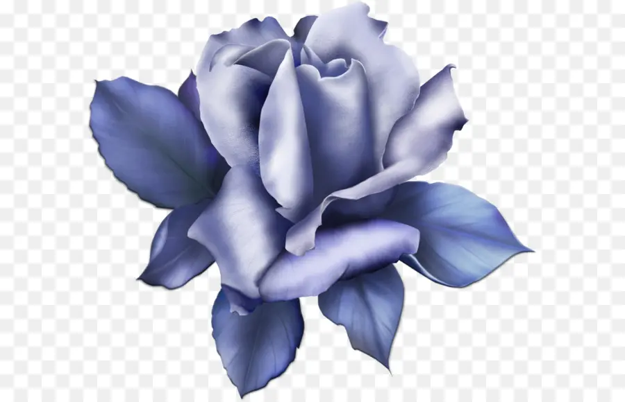 Rose Bleue，Floraison PNG