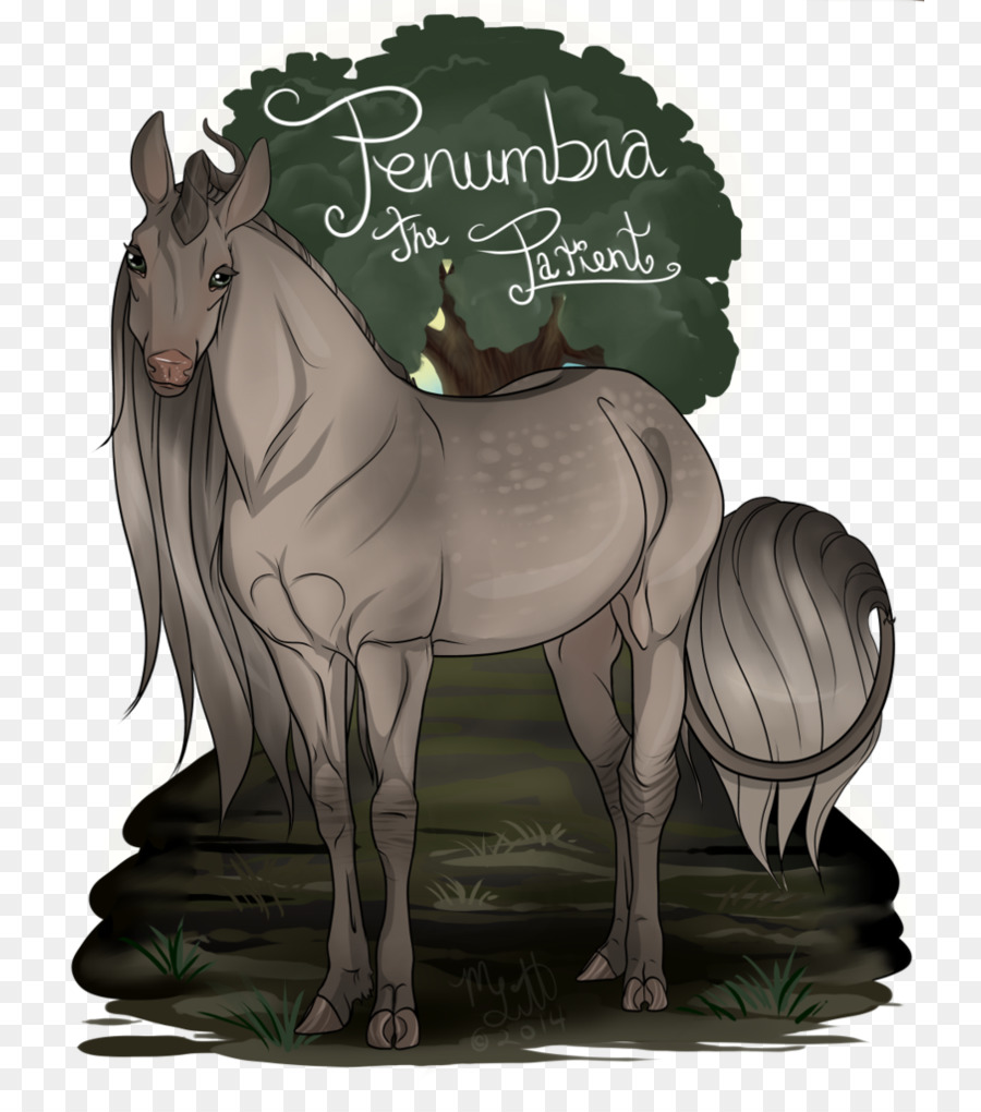 Illustration De Cheval，Cheval PNG