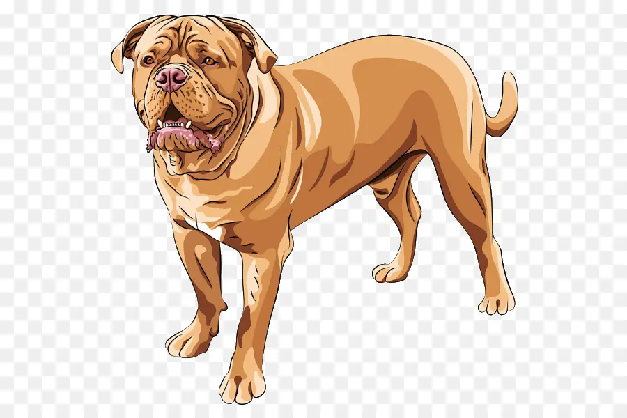 Chien Marron，Animal De Compagnie PNG