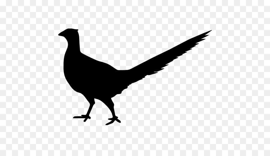 Silhouette D'oiseau Noir，Silhouette PNG