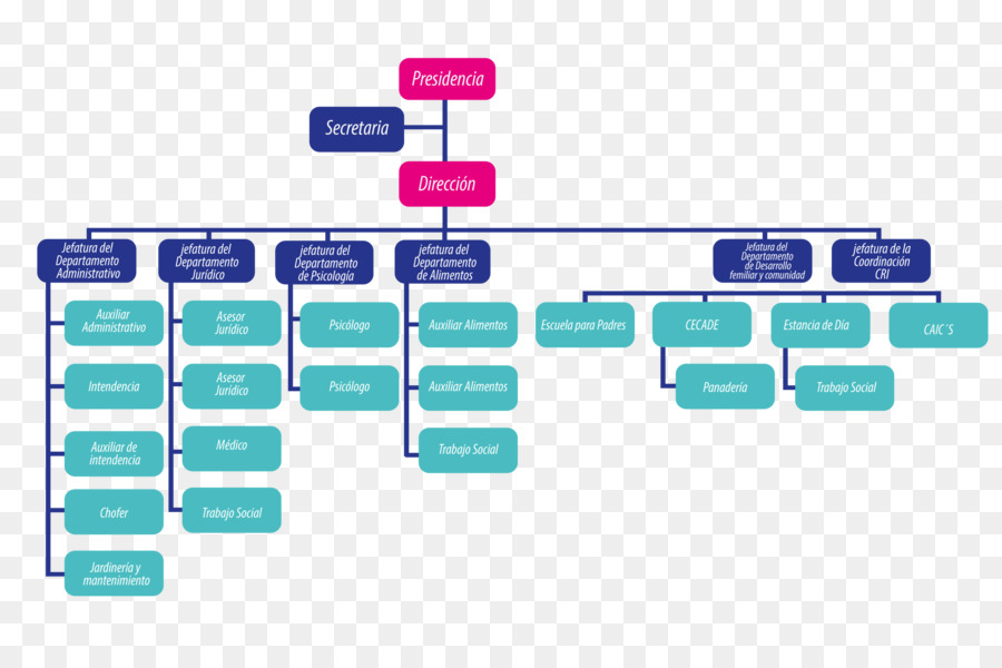 Organigramme，Structure PNG