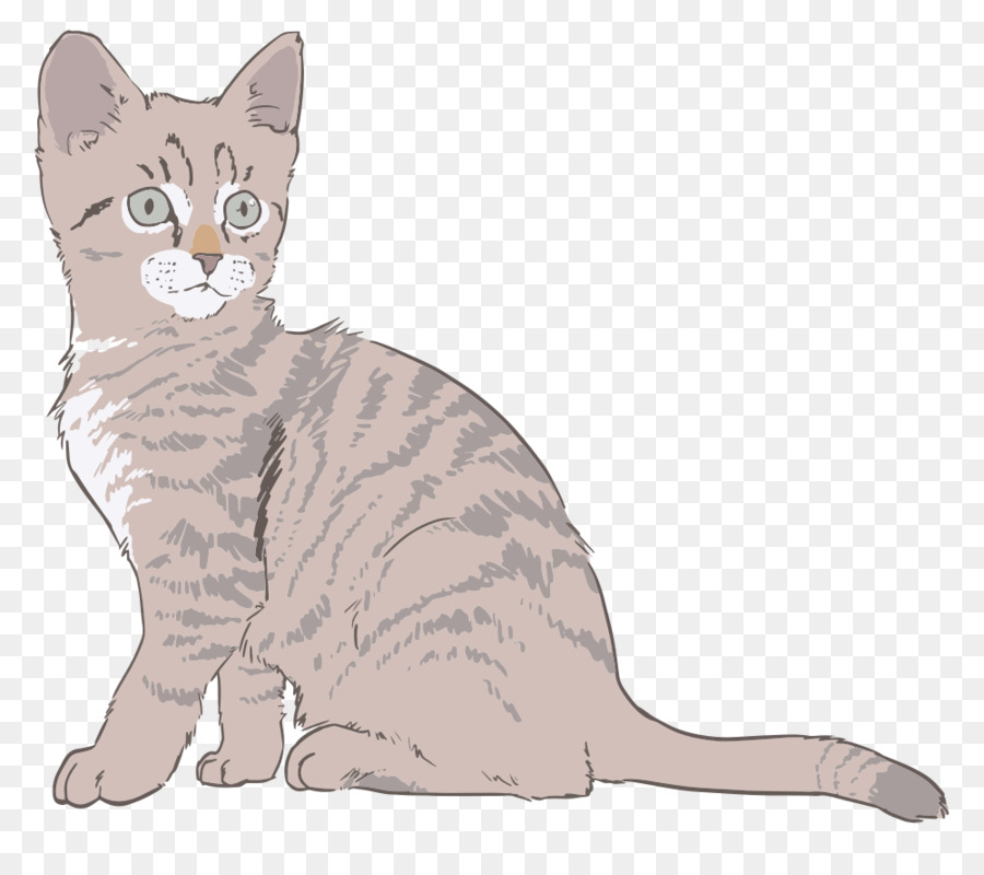 Chat Gris，Animal De Compagnie PNG