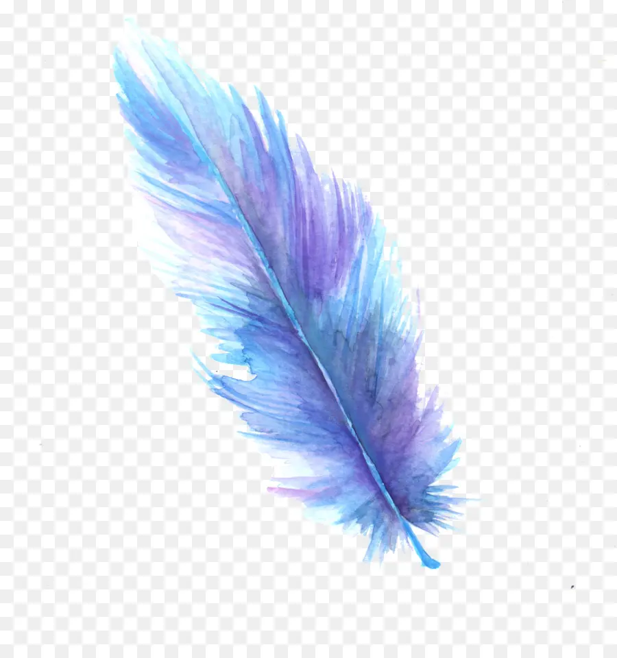 Plume Colorée，Doux PNG