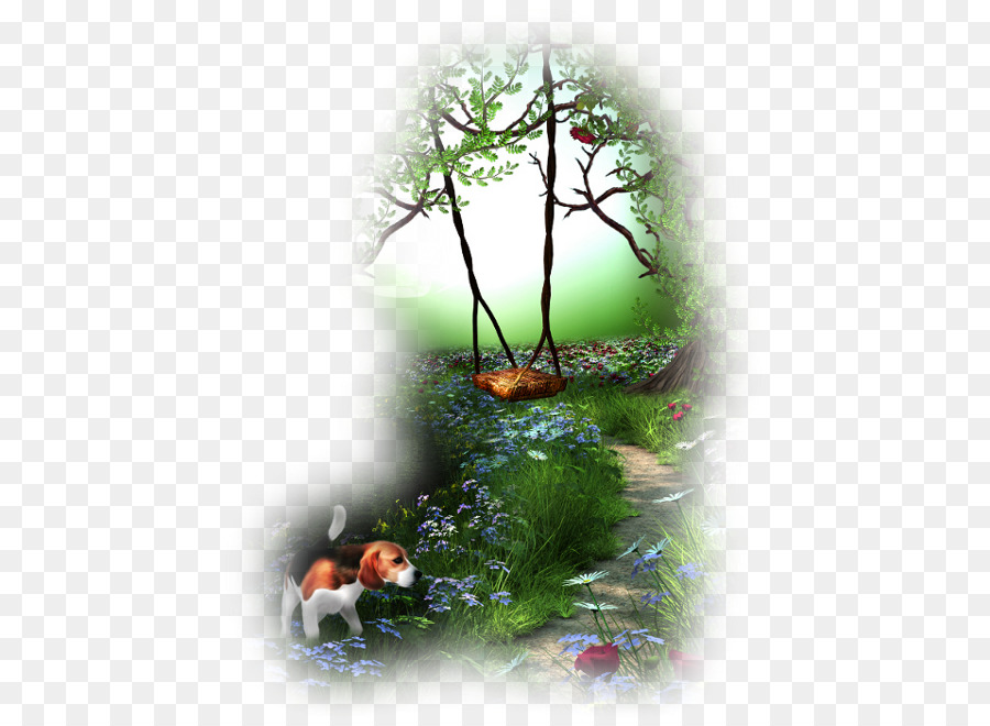 Scène De Jardin，Jardin PNG