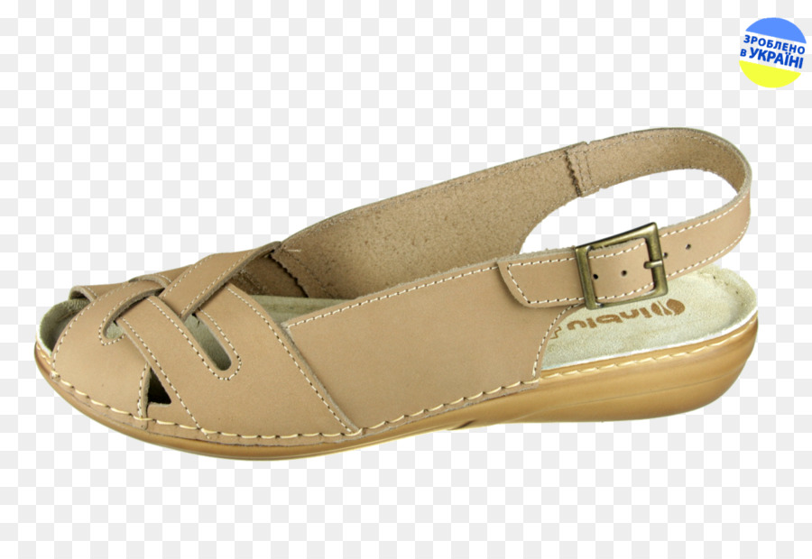 Diapositive，Chaussure PNG