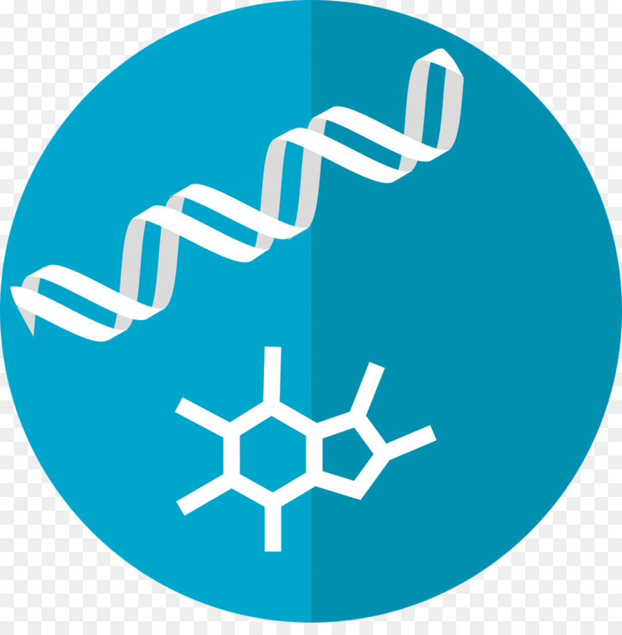Adn Et Molécule，Génétique PNG
