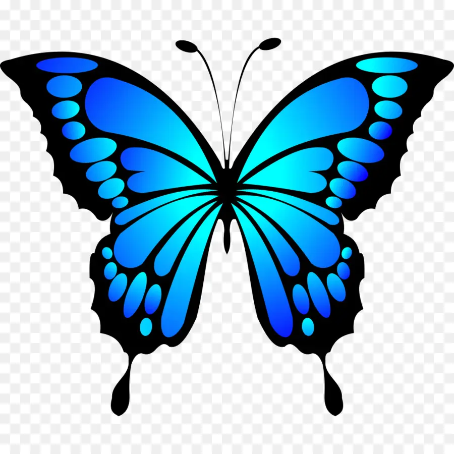 Papillon Bleu，Insecte PNG