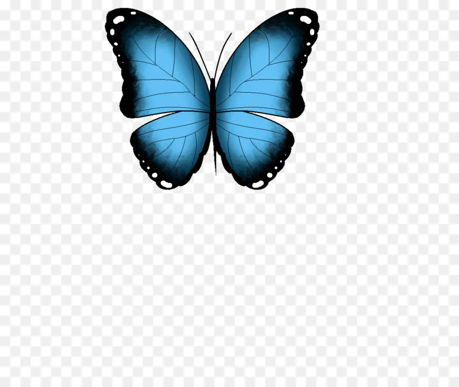 Papillon Bleu，Ailes PNG