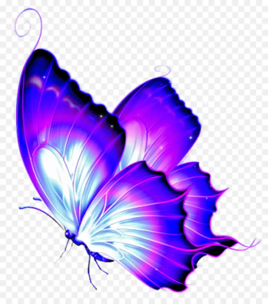 Papillon，Insecte PNG