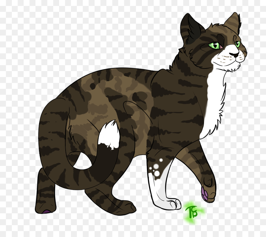 Chat Gris，Animal De Compagnie PNG