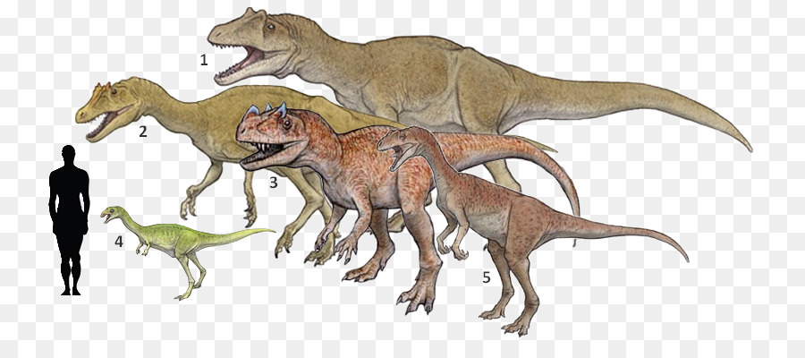 Dinosaures，Préhistorique PNG