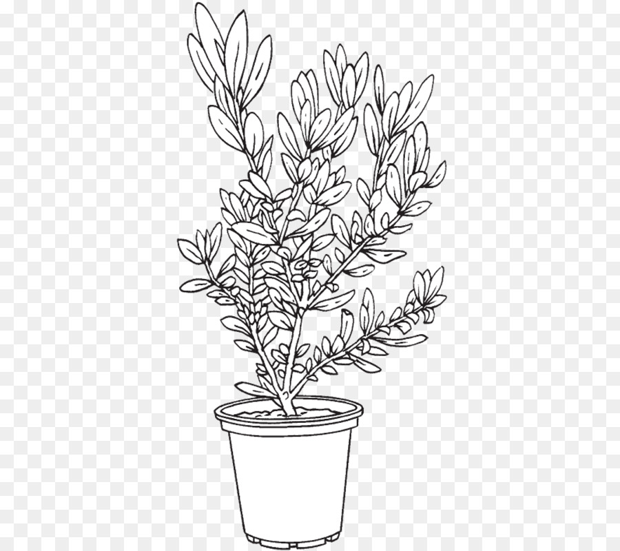 Brindille，Flowerpot PNG