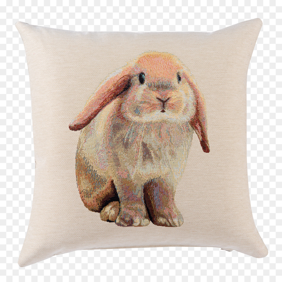 Lapin，Coussin PNG