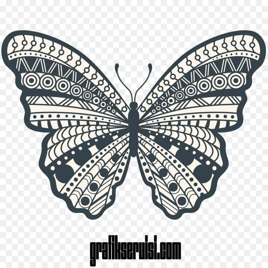 Papillon，Ailes PNG