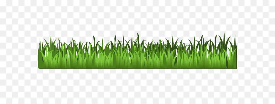 Herbe Verte，Pelouse PNG