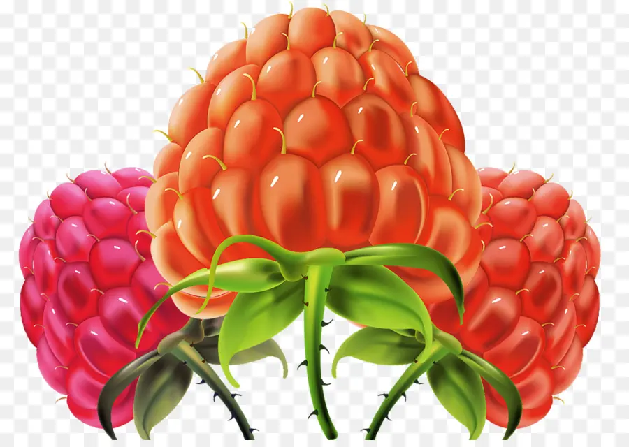 Framboise，Rouge PNG