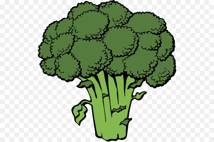 Brocoli Vert，En Bonne Santé PNG