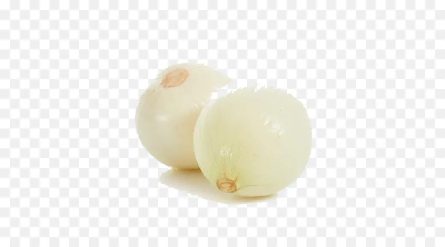 Oignons Blancs，Nourriture PNG