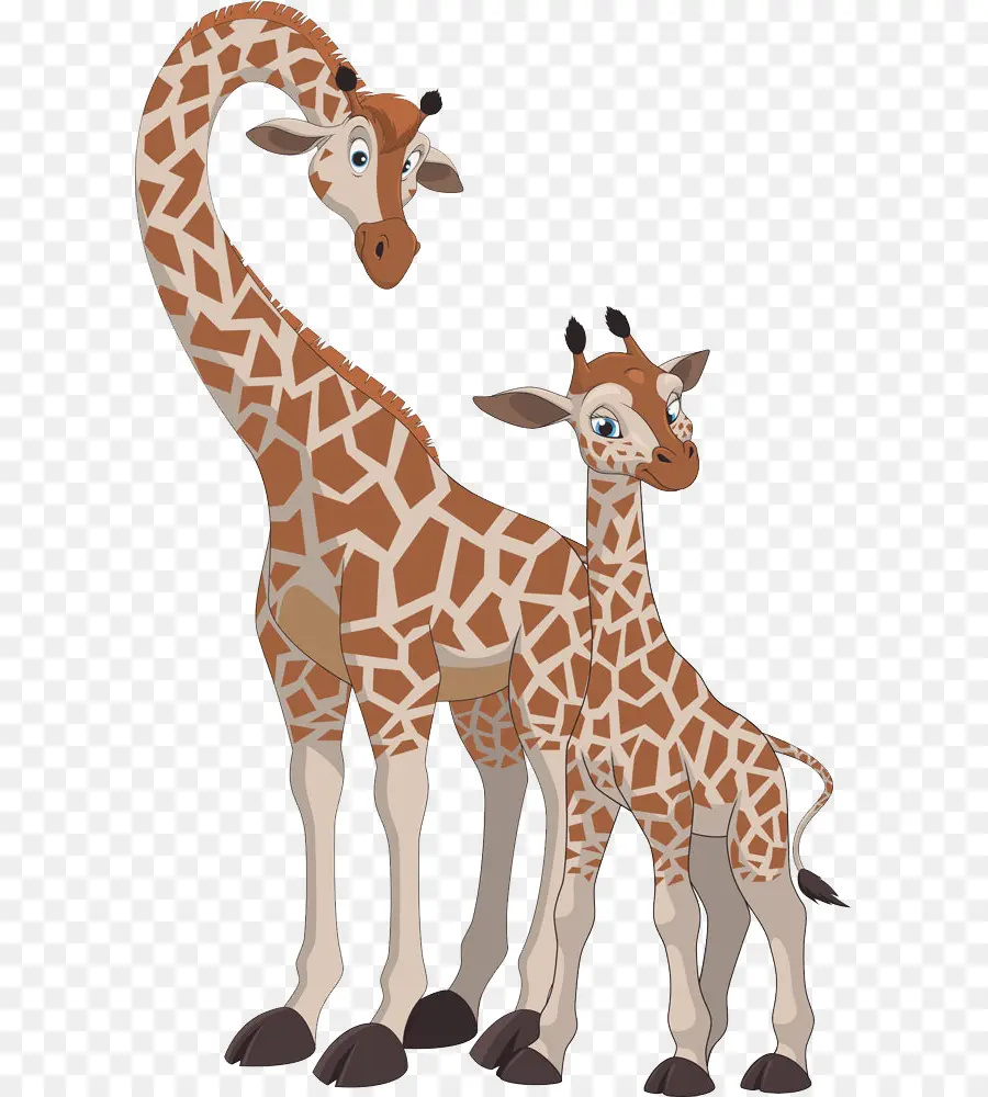 Girafes，Amour PNG