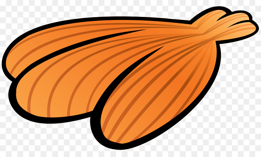 Ailes Oranges，Plumes PNG