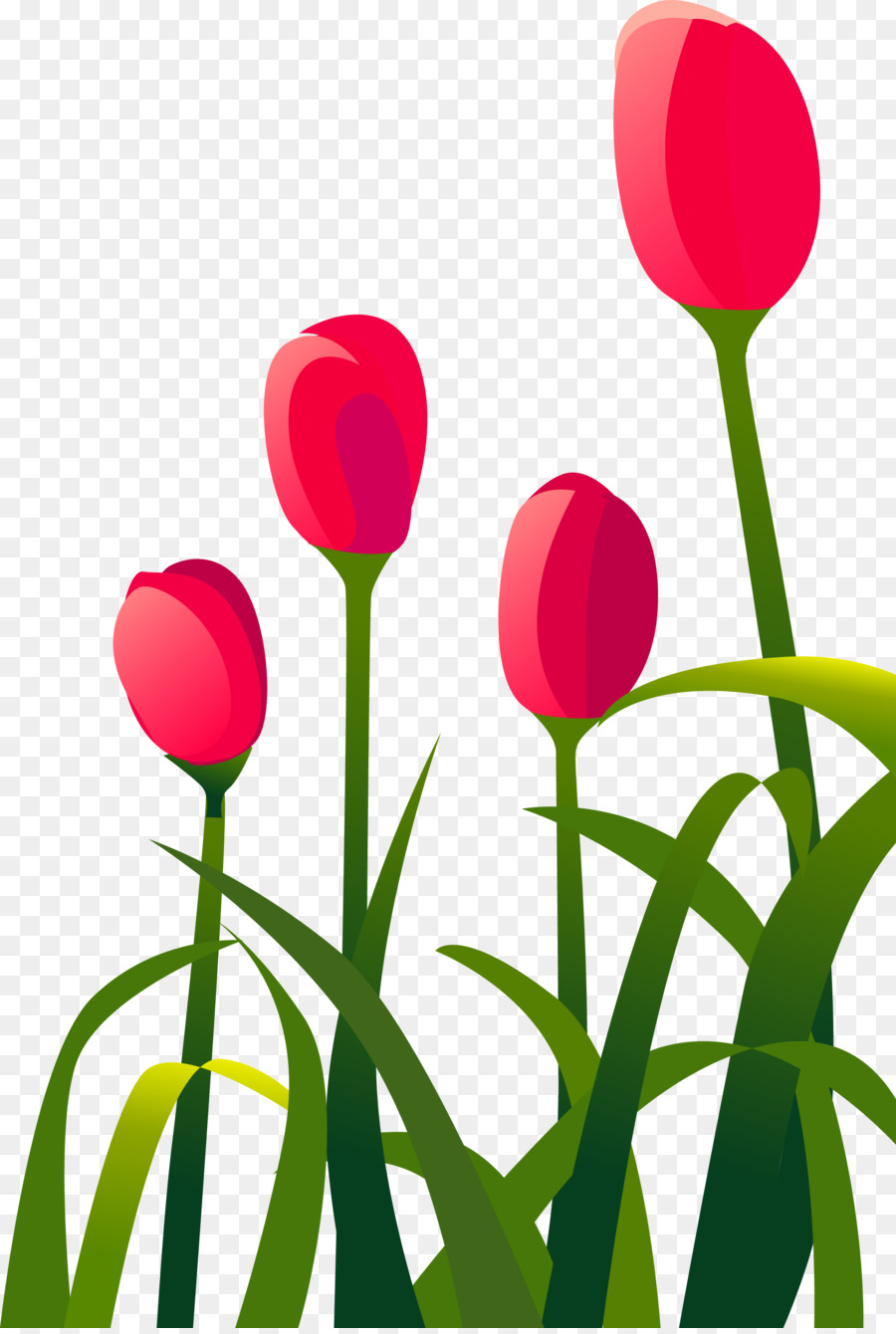 Tulipes Rouges，Jardin PNG