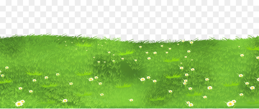 Herbe，Fleurs PNG