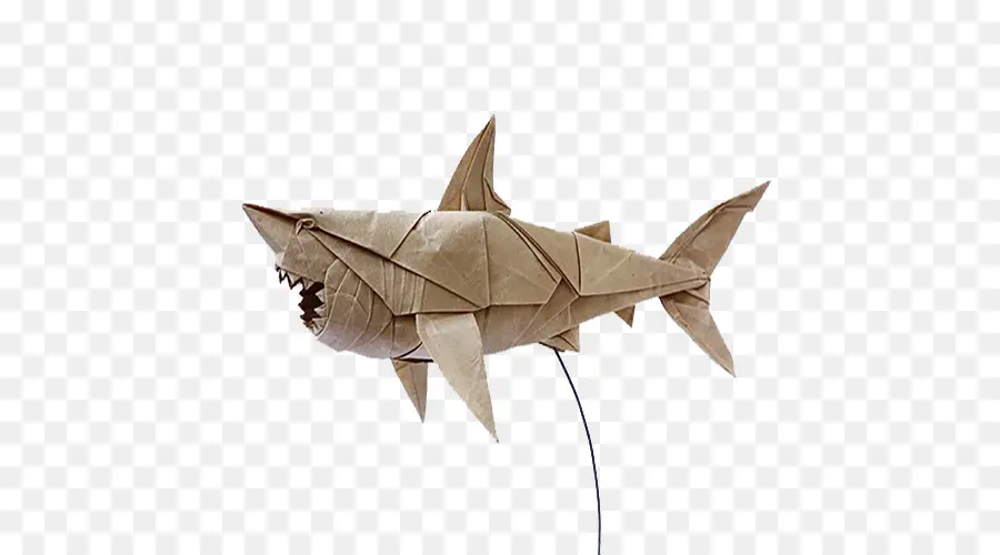 Requin En Origami，Papier PNG