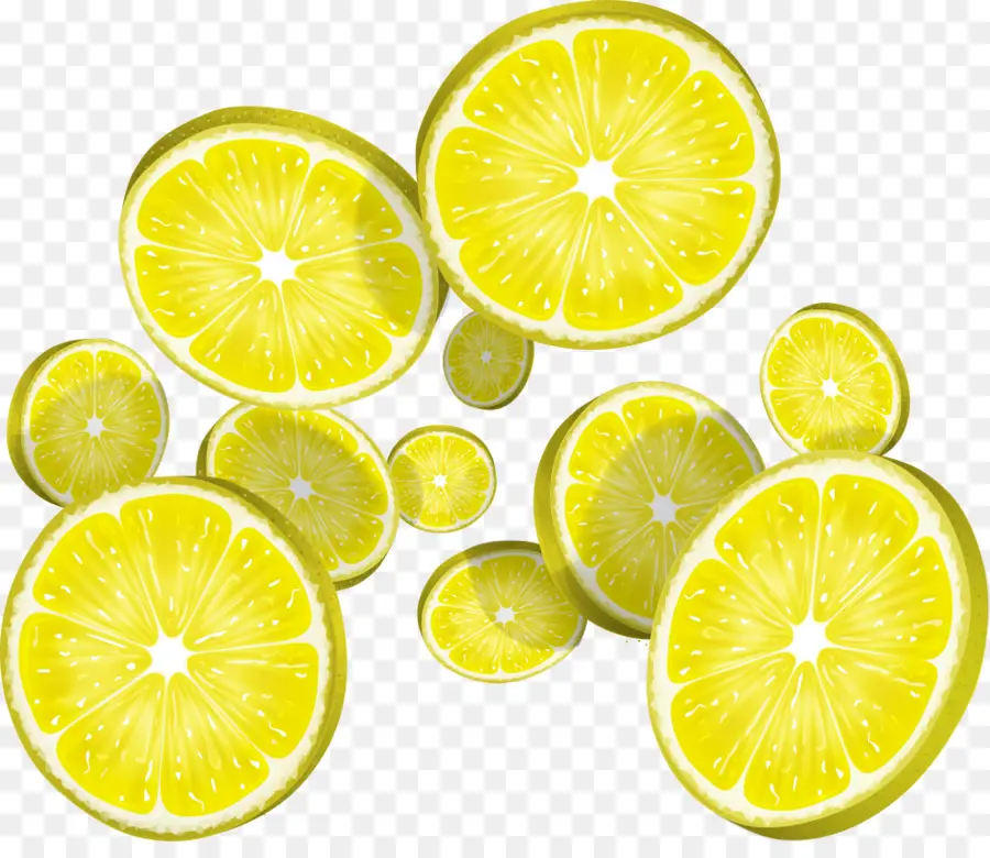 Tranches De Citron Jaune，Agrumes PNG